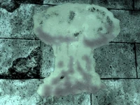 Graffiti sulla Grande Guerra