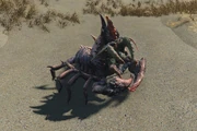 FO4 Mirelurk Hunter