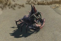 FO4 Mirelurk Hunter.jpg (845 KB) Mirelurk hunter