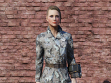 Fallout 76 armor and apparel