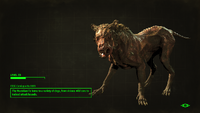 Fo4 Mongrel dog