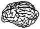 Icon canine brain