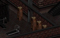 Shark Club basement lockers.jpg (112 KB) Shark Club's basement