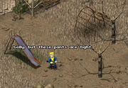 Thepipboy.jpg