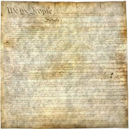 Histdoc2.png (411 KB) Constitution