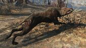 FO4 Alpha feral mongrel