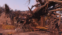 FO76 Clancy Manor 3