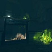 Shelters shelterentrance gleamingdepths c6.png (171 KB)