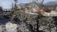 Fallout 76 Fissure Site Delta 