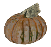 Gourd