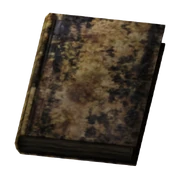 Small Destroyed Book