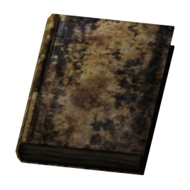 Small Destroyed Book