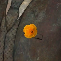A California poppy in Ambassador Crocker's breast pocket