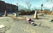 FO4NW External 21