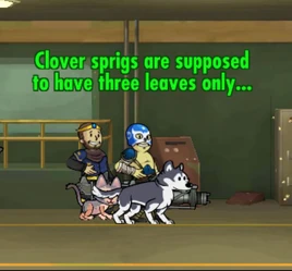 FoS Shamrock the Casbah