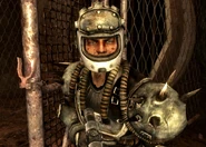 Gruber.jpg (326 KB) Der Champion