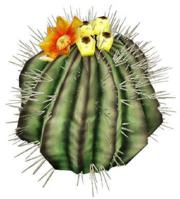 FNV Barrel cactus 1