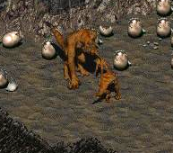 Mother deathclaw in Fallout 2
