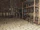 FO76TP The Foundry (Steel ingot 08).jpg