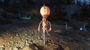 FO76 081120 Fire boyo.png