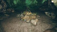 Another deathclaw nest