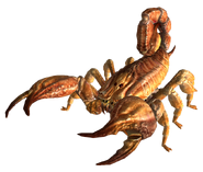 Bark scorpion FNV