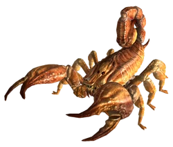 Bark scorpion FNV