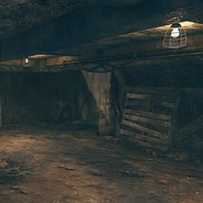 Shelters shelterentrance rootcellar c2.png (319 KB)