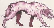 Wild Mutant coyote.jpg
