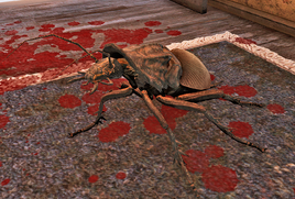 FO76 Radroach