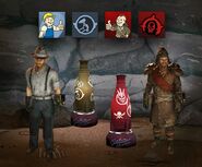 Wastelanders Bundle content overview