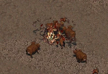 This happens when you get too close!