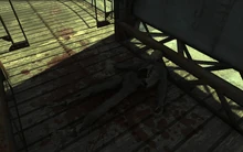 Carlo-FarHarbor.jpg (686 KB)