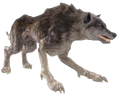 FH-Legendary-Albino-Wolf.png