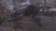 FO76OB Blue Devil dead.png (2.91 MB) A dead Blue Devil