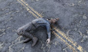 FO76 Hornwright Miner.jpg