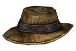 Fedora