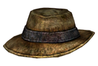 A closer look at the hat