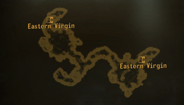 Angel cave local map