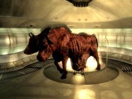 Brahmin MZ.jpg (218 KB) Brahmin im Waffenlabor von Mothership Zeta