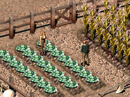 FO2 Westins ranch hands