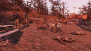 FO76WL RE Settlers vs Raiders