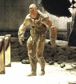 FO76 Feral ghoul J47