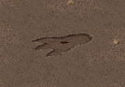 Fo1 Giant Footprint