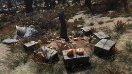Fo76 Pumpkin house (Trick or Treat)