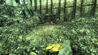 The camp and the corpses