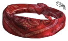 Reds bandana