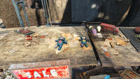 Shelbie Chase, Nuka-Town market