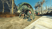 FO4NW Gatorclaw4