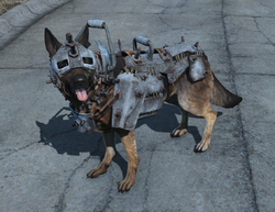 Dog Armor Fallout Wiki Fandom Worried about dogmeat getting hacked at, blown up and shot? dog armor fallout wiki fandom